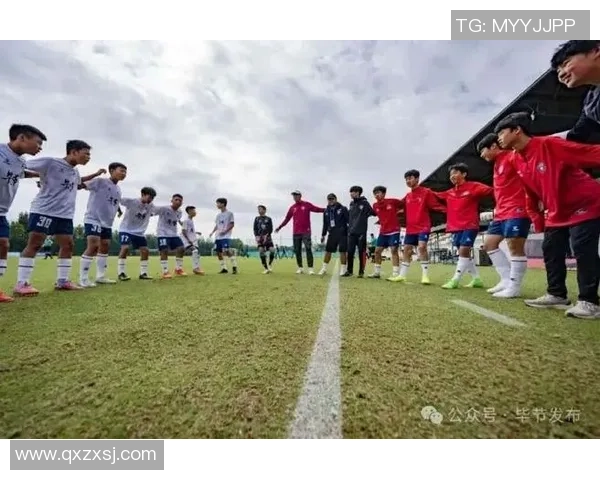 新球星足球燃动绿茵青春点亮梦想激情开启全新赛季征程 新球星足球燃动绿茵青春点亮梦想激情开启全新赛季征程